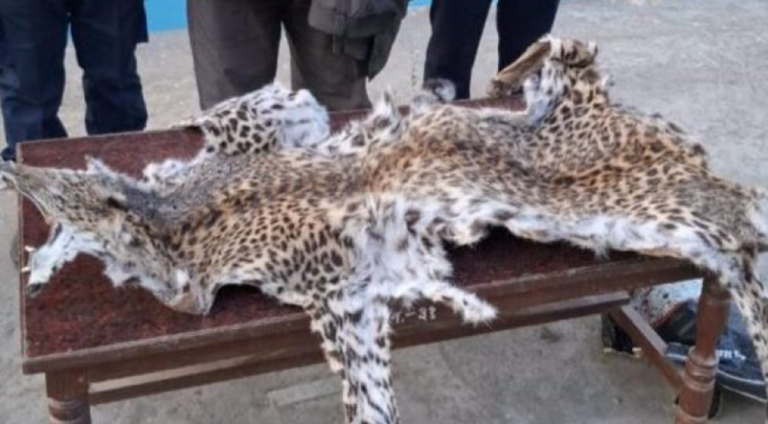 Screenshot_2025-01-17-20-48-47-777_com.facebook.katana