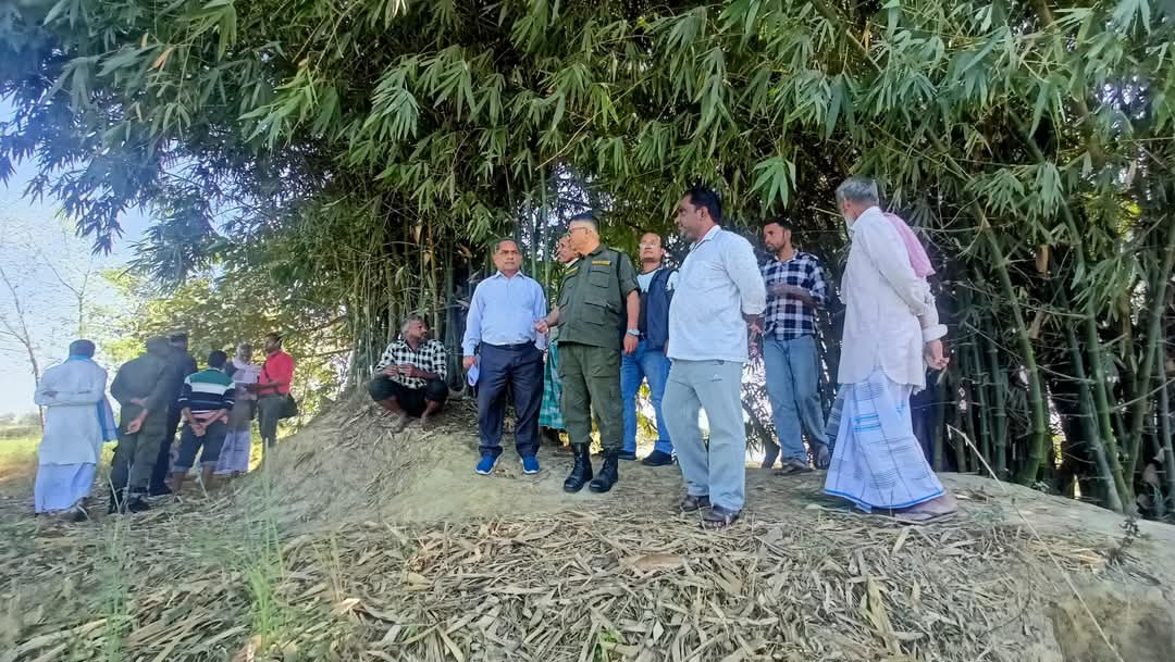 FB_IMG_1740923204318