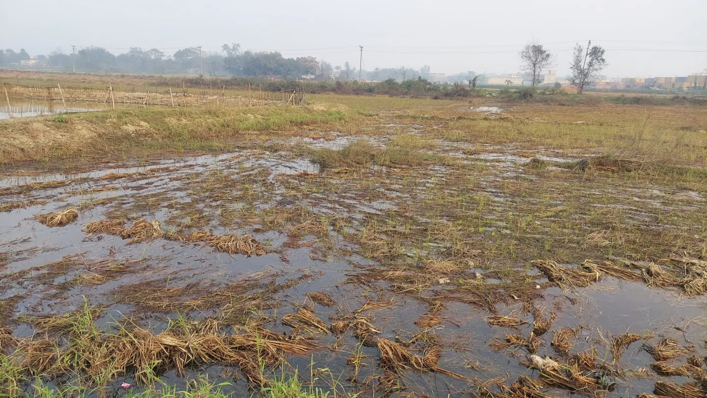 WhatsApp-Image-2025-02-11-at-10.45.07-AM-scaled