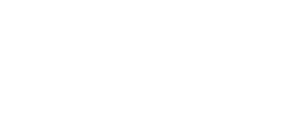 ann news logo white