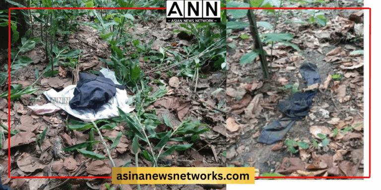 www.asiannewsnetworks.com (3)